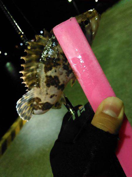 さむーいしぶーい夜の巻